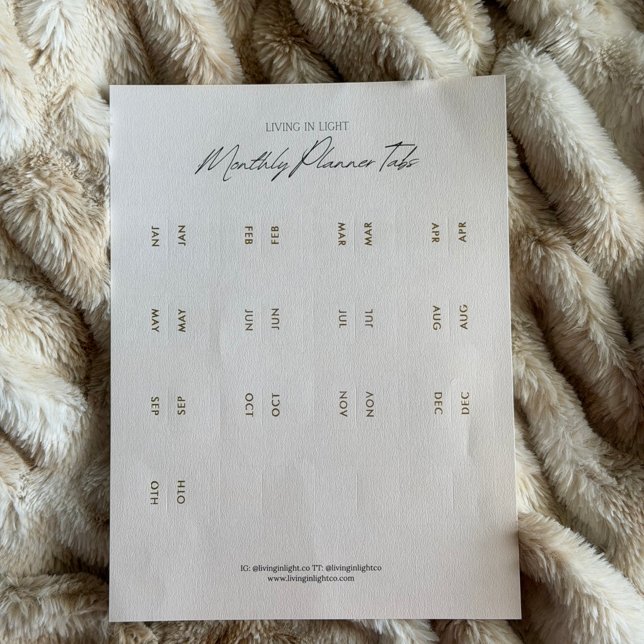 Monthly Planner Tabs (Cream with Gold Foil) – Set of 16 | For Sewn Bin ...