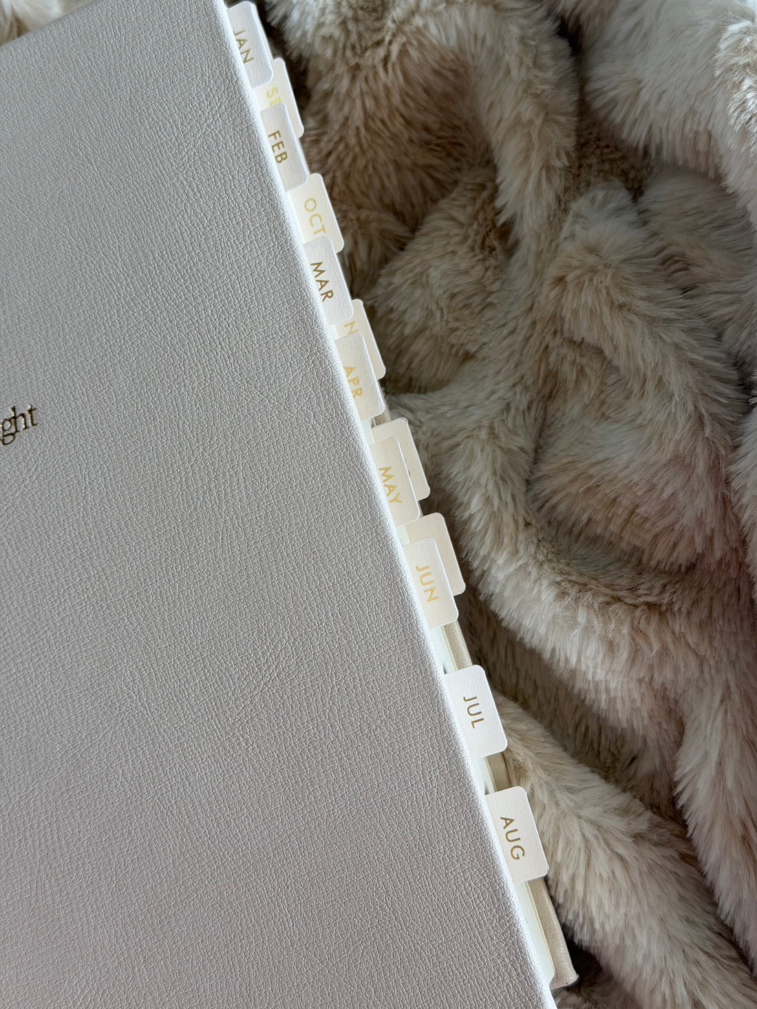 Monthly Planner Tabs (Cream with Gold Foil) – Set of 16 | For Sewn Binding Planners