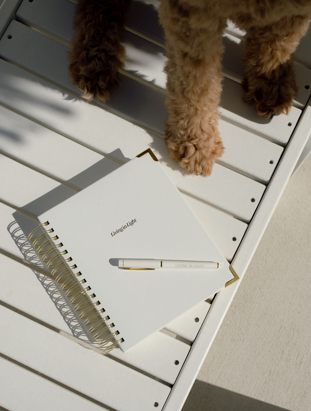 White Leather Gold Spiral V3 Undated Modern Christian Planner w Tabs and Gold Corners – Faith-Based Planner - Bible Study, Sermon Notes, Prayer Requests, Goal Setting, Finances & More