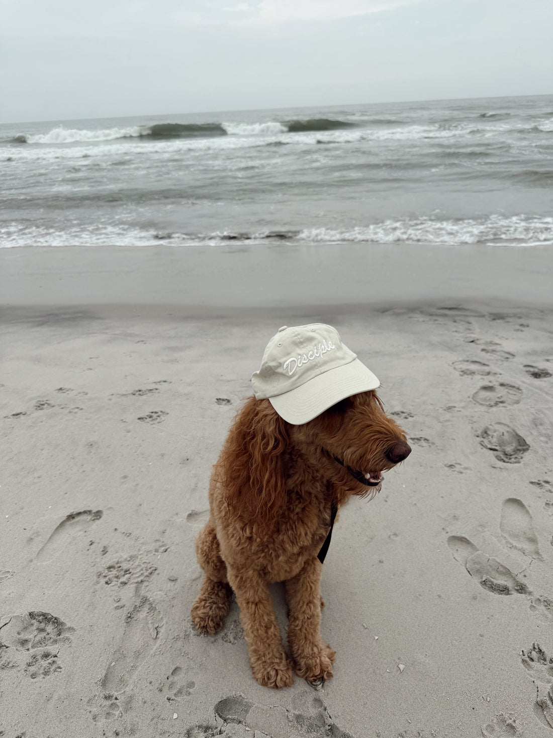 Light Khaki 3D Disciple Dad Cap - Christian Baseball Hat - Modern Faith-Based Apparel - Living in Light